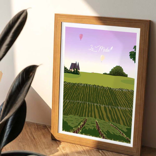 Médoc - Vignes