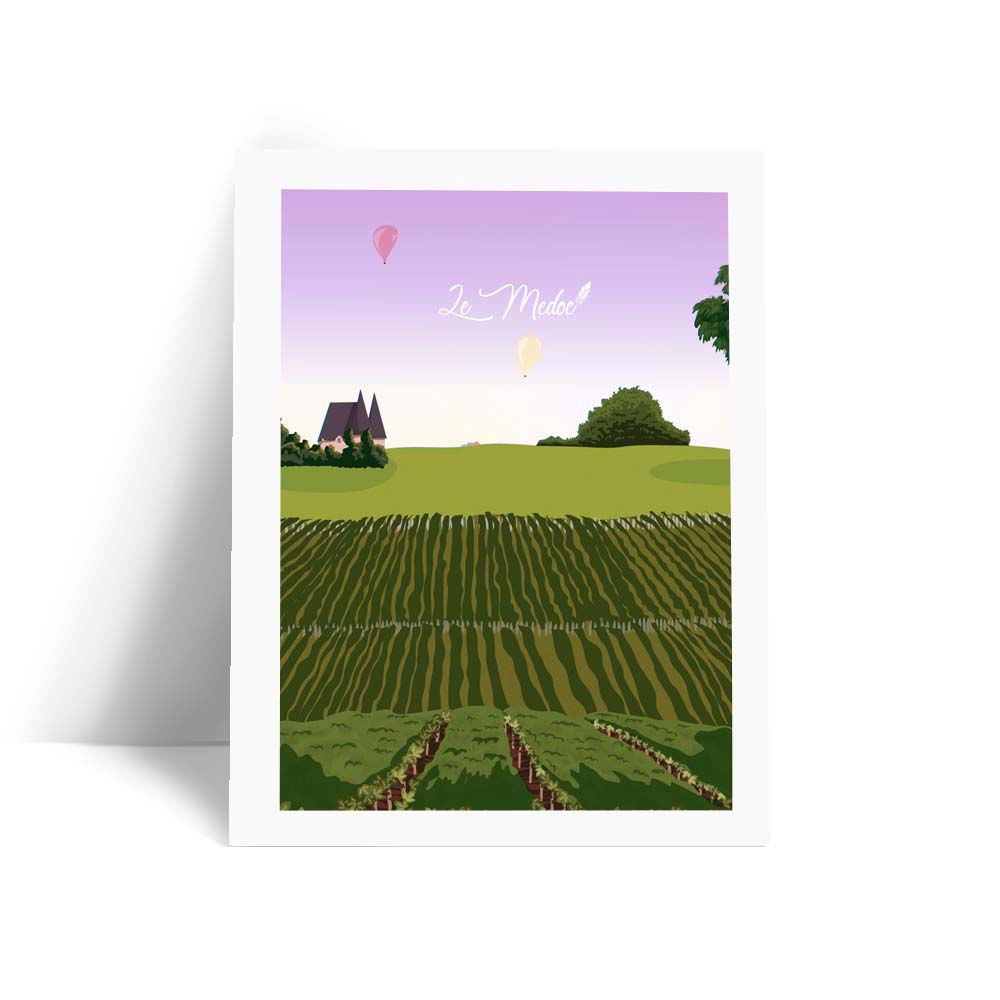 Médoc - Vignes